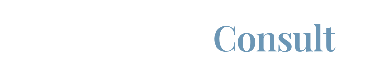 Planning Consult